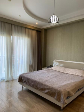 APARTMENT IN THE NEW CITY